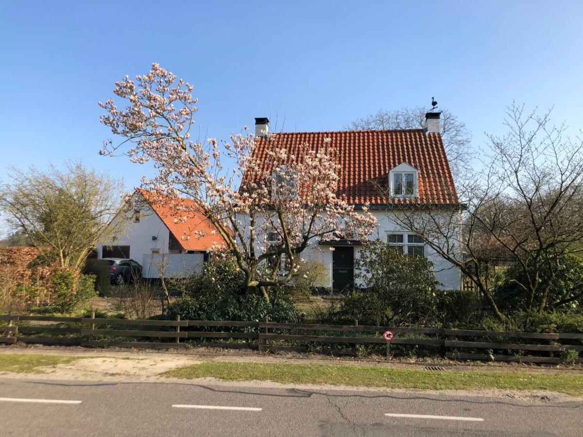 Horse And Hound Bed and Breakfast Riethoven Εξωτερικό φωτογραφία