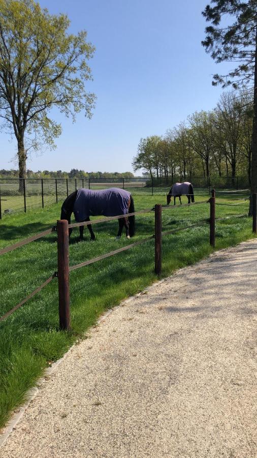 Horse And Hound Bed and Breakfast Riethoven Εξωτερικό φωτογραφία