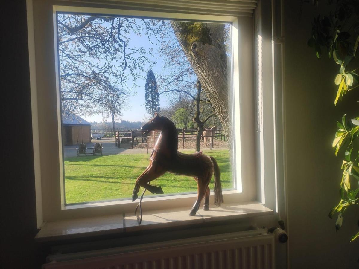 Horse And Hound Bed and Breakfast Riethoven Εξωτερικό φωτογραφία